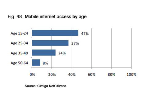 携帯ネット利用　年齢別