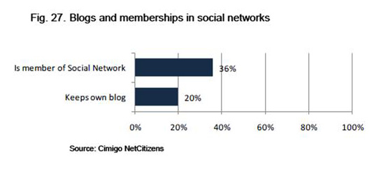 SNS　ブログ利用状況(ベトナム）
